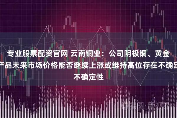 专业股票配资官网 云南铜业：公司阴极铜、黄金等产品未来市场价格能否继续上涨或维持高位存在不确定性