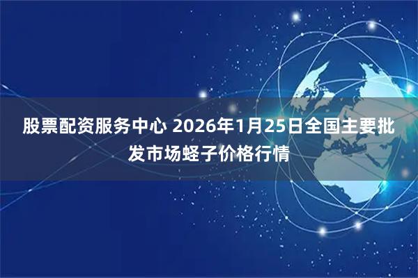 股票配资服务中心 2026年1月25日全国主要批发市场蛏子价格行情