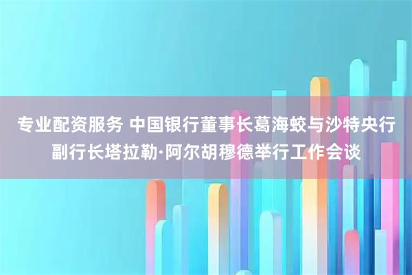 专业配资服务 中国银行董事长葛海蛟与沙特央行副行长塔拉勒·阿尔胡穆德举行工作会谈