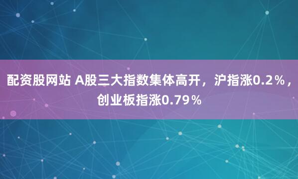 配资股网站 A股三大指数集体高开，沪指涨0.2％，创业板指涨0.79％