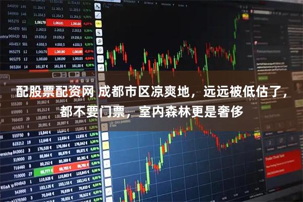 配股票配资网 成都市区凉爽地，远远被低估了，都不要门票，室内森林更是奢侈